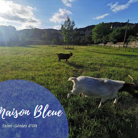 Appartamento Maison mitoyenne piscines chauffées et tourisme vert Saint-Geniez-dʼOlt Esterno foto