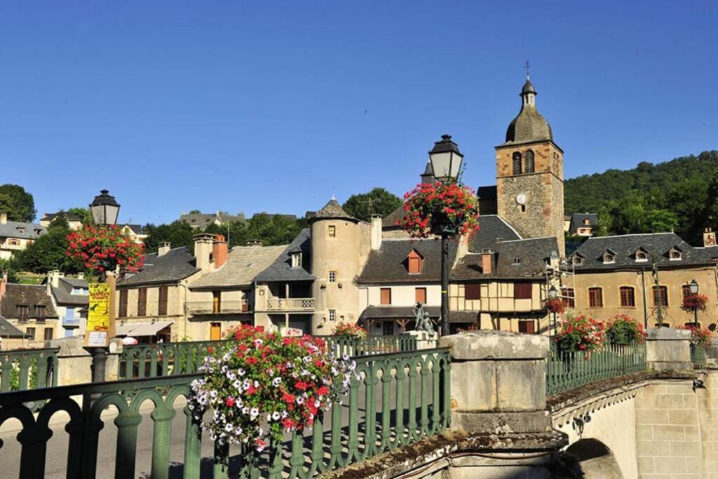 Appartamento Maison mitoyenne piscines chauffées et tourisme vert Saint-Geniez-dʼOlt Esterno foto