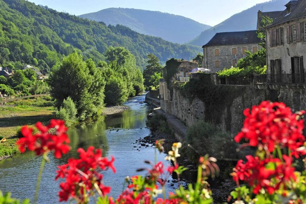 Appartamento Maison mitoyenne piscines chauffées et tourisme vert Saint-Geniez-dʼOlt Esterno foto