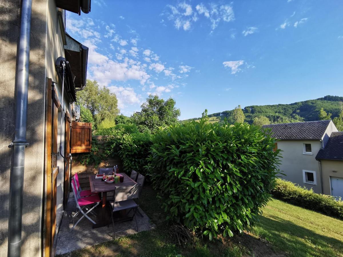 Appartamento Maison mitoyenne piscines chauffées et tourisme vert Saint-Geniez-dʼOlt Esterno foto