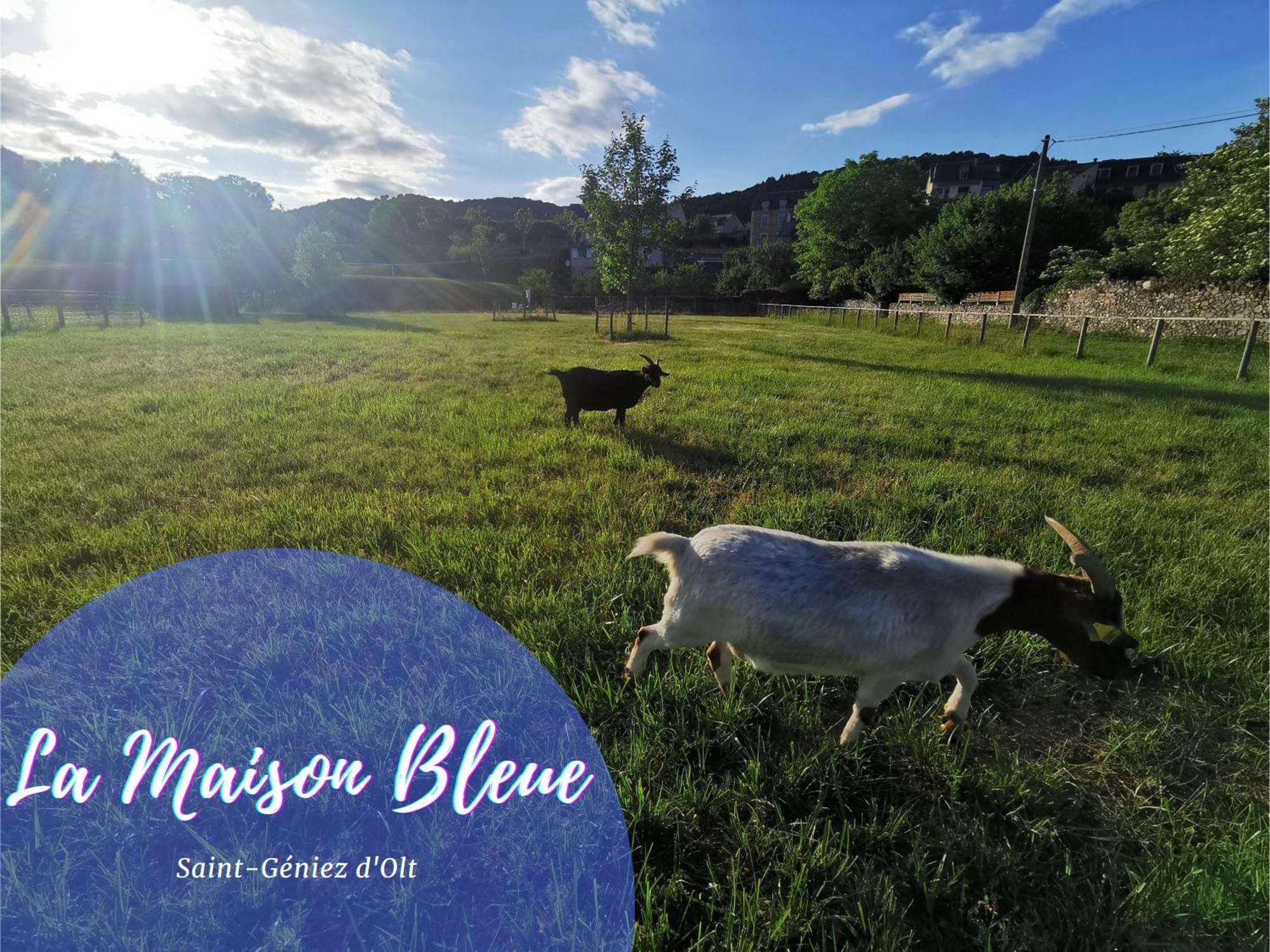 Appartamento Maison mitoyenne piscines chauffées et tourisme vert Saint-Geniez-dʼOlt Esterno foto
